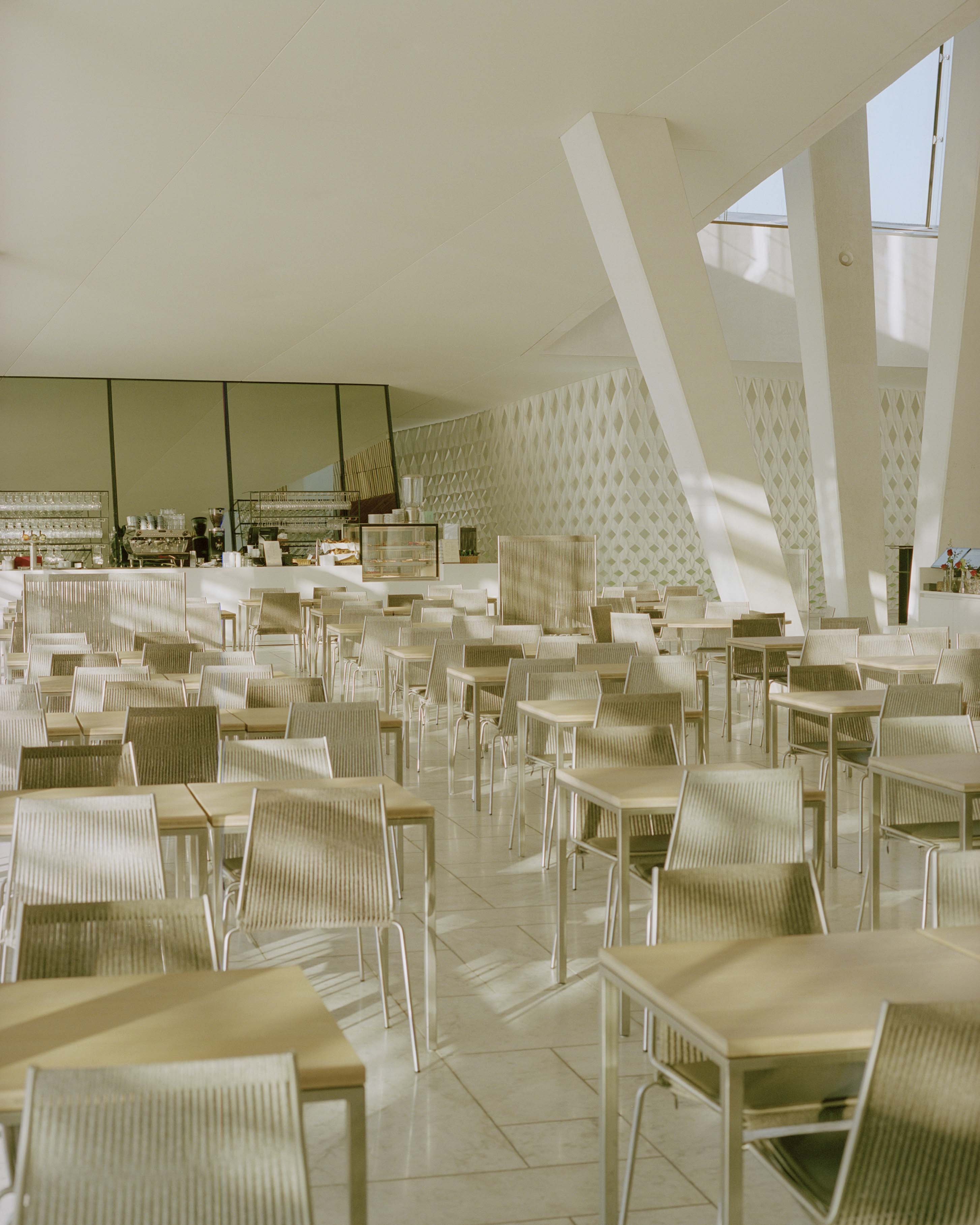 Dining Chairs